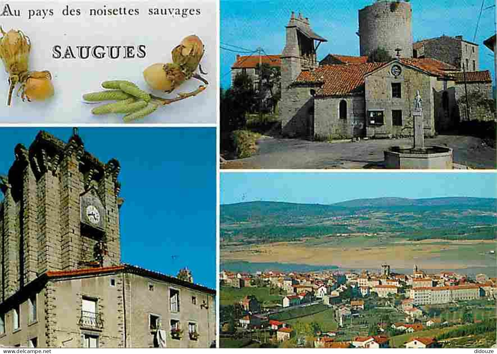 Carte Postale - 43 - Saugues - Multivues - Eglise - Noisettes sauvages - Flamme Postale - CPM - Voir Scans Recto-Verso -
