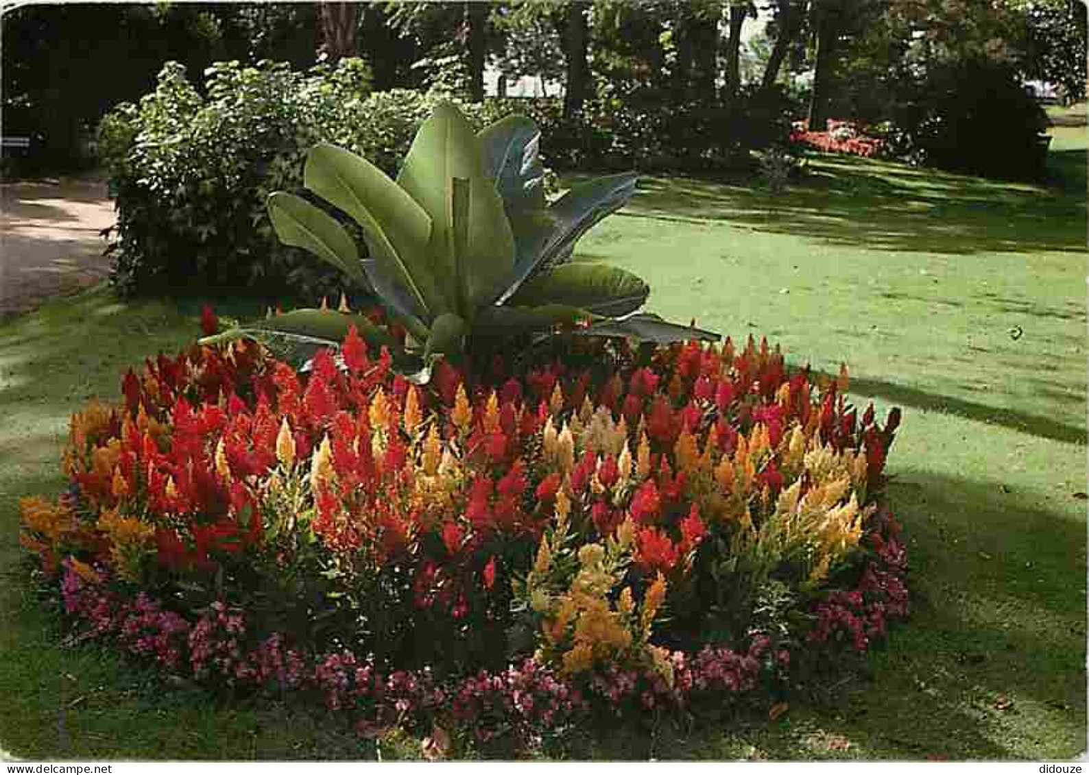 Carte Postale - 44 - Saint Nazaire - Au coeur de la ville les parcs et jardins offrent calme et repos - Fleurs - CPM - V