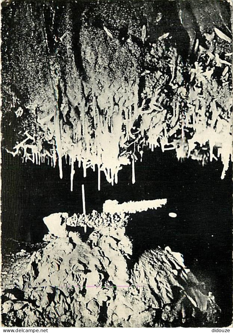 Carte Postale - 46 - Lacave - Grottes de Lacave - Excentriques en lumière noire - Spéléologie - Carte dentelée - CPSM gr