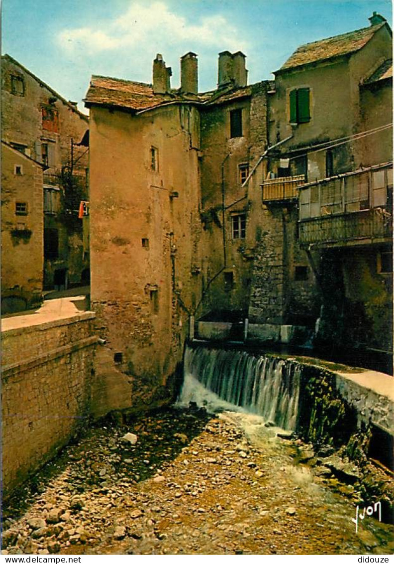 Carte Postale - 48 - Florac - CPM - Voir Scans Recto-Verso - Poscard - Carta Postal -  Postkarte