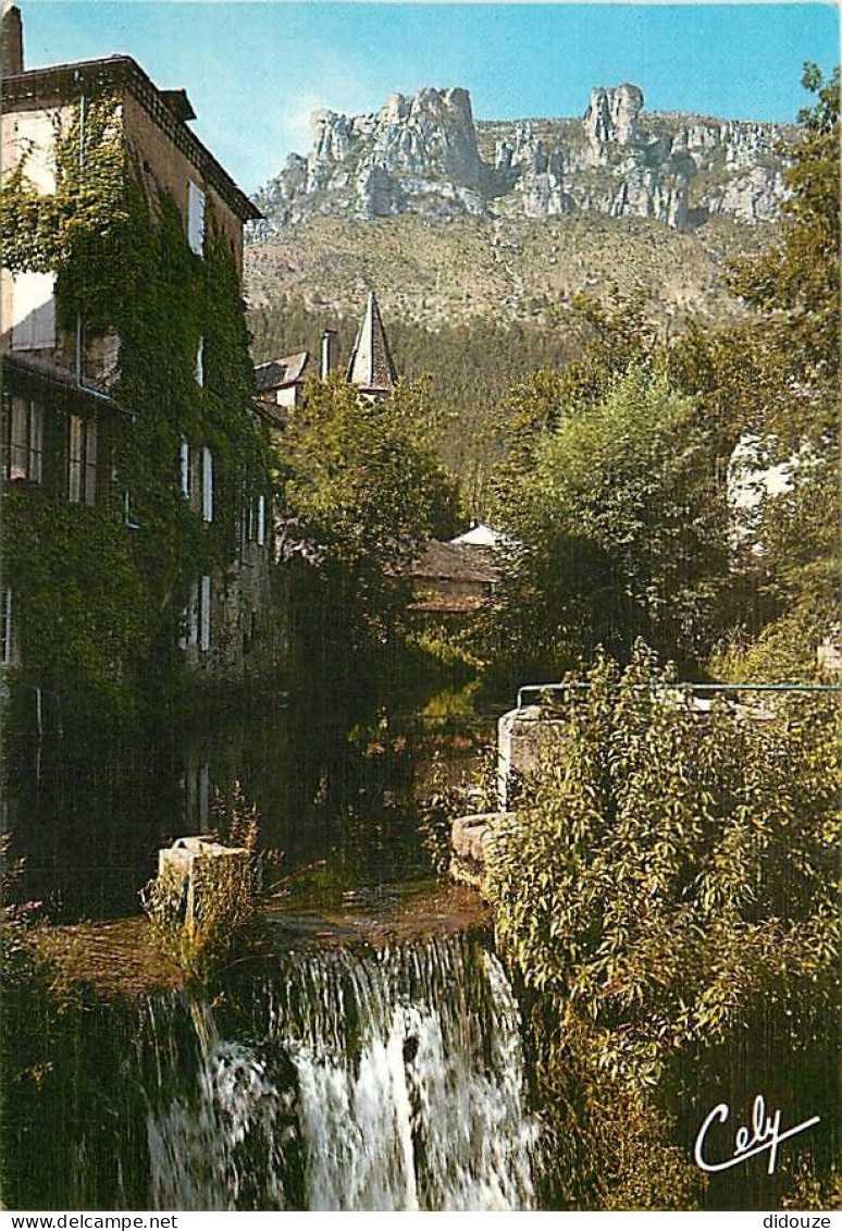 Carte Postale - 48 - Florac - CPM - Voir Scans Recto-Verso - Poscard - Carta Postal -  Postkarte