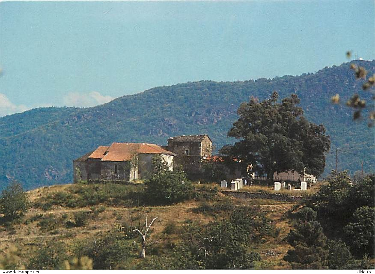Carte Postale - 48 - Le Collet de Deze - Le Cap - Saint Hilaire de Lavit - CPM - Carte Neuve - Voir Scans Recto-Verso -