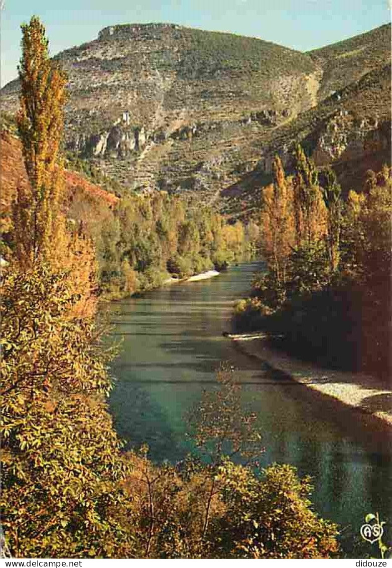 Carte Postale - 48 - Les Gorges du Tarn - Paysage d'Automne dans les Gorges. Le Tarn dominé par les ruines du Château de
