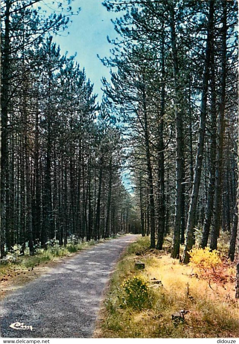 Carte Postale - 48 - Mende - Promenade aux environs de Mende - Chemin de l'Ermitage - CPM - Voir Scans Recto-Verso - Pos