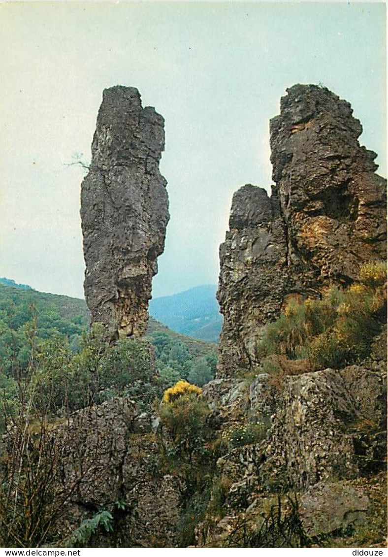 Carte Postale - 48 - Villefort - CPM - Voir Scans Recto-Verso - Poscard - Carta Postal -  Postkarte