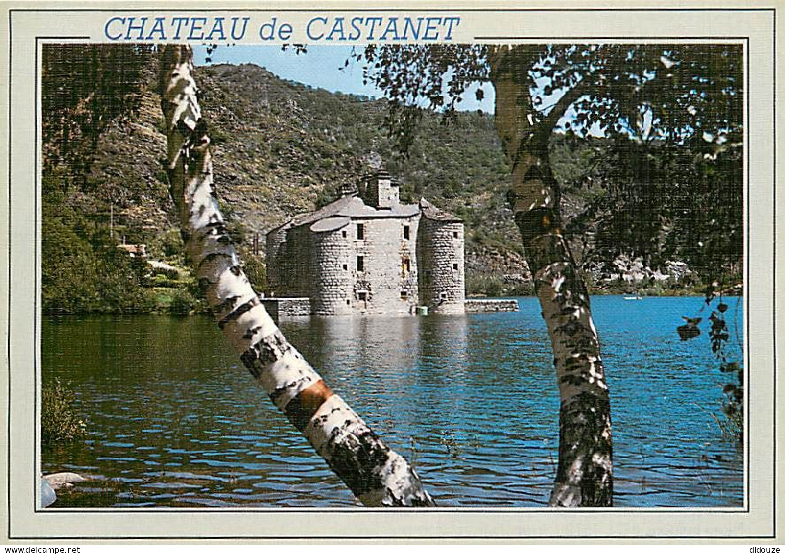 Carte Postale - 48 - Villefort - Le Château de Castanet - au bord du barrage de Villefort - CPM - Carte Neuve - Voir Sca
