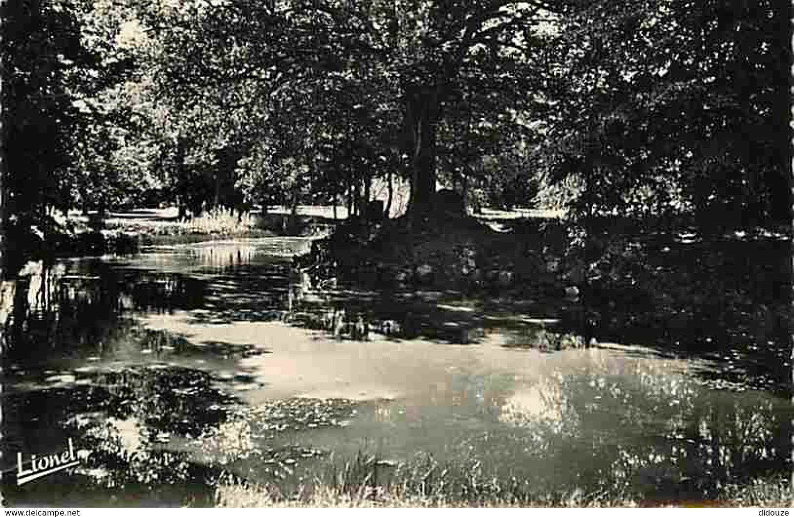 Carte Postale - 49 - Le Louroux Beconnais - Le Château du Chillon - Maison de convalescence - la Pièce d'eau - CPM - Voi