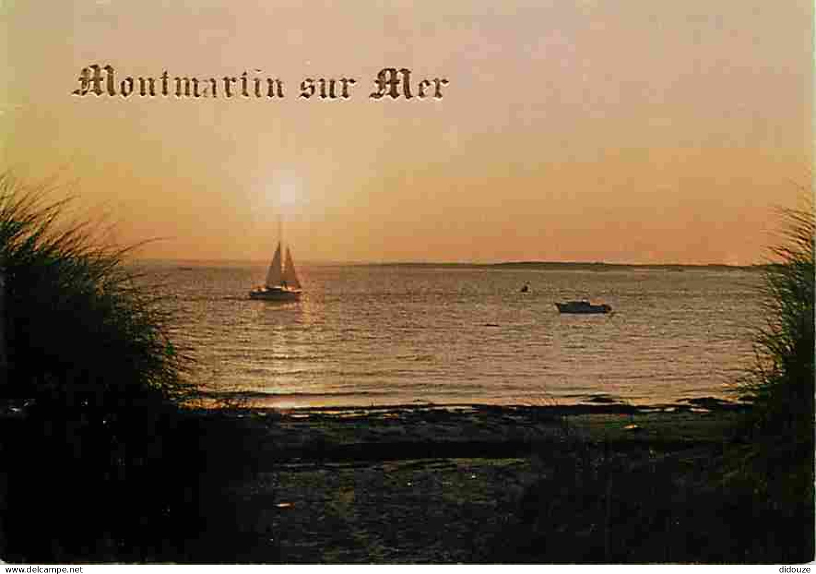 Carte Postale - 50 - Montmartin sur Mer - Coucher de Soleil - CPM - Voir Scans Recto-Verso - Poscard - Carta Postal -  P