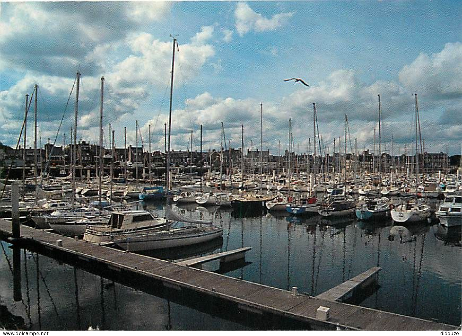 Carte Postale - 50 - Saint Vaast la Hougue - CPM - Voir Scans Recto-Verso - Poscard - Carta Postal -  Postkarte