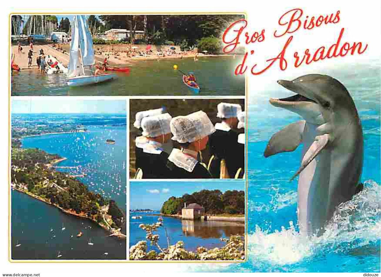Carte Postale - 56 - Arradon - Multivues - Dauphins - Folklore - Plages - Carte Neuve - CPM - Voir Scans Recto-Verso - P