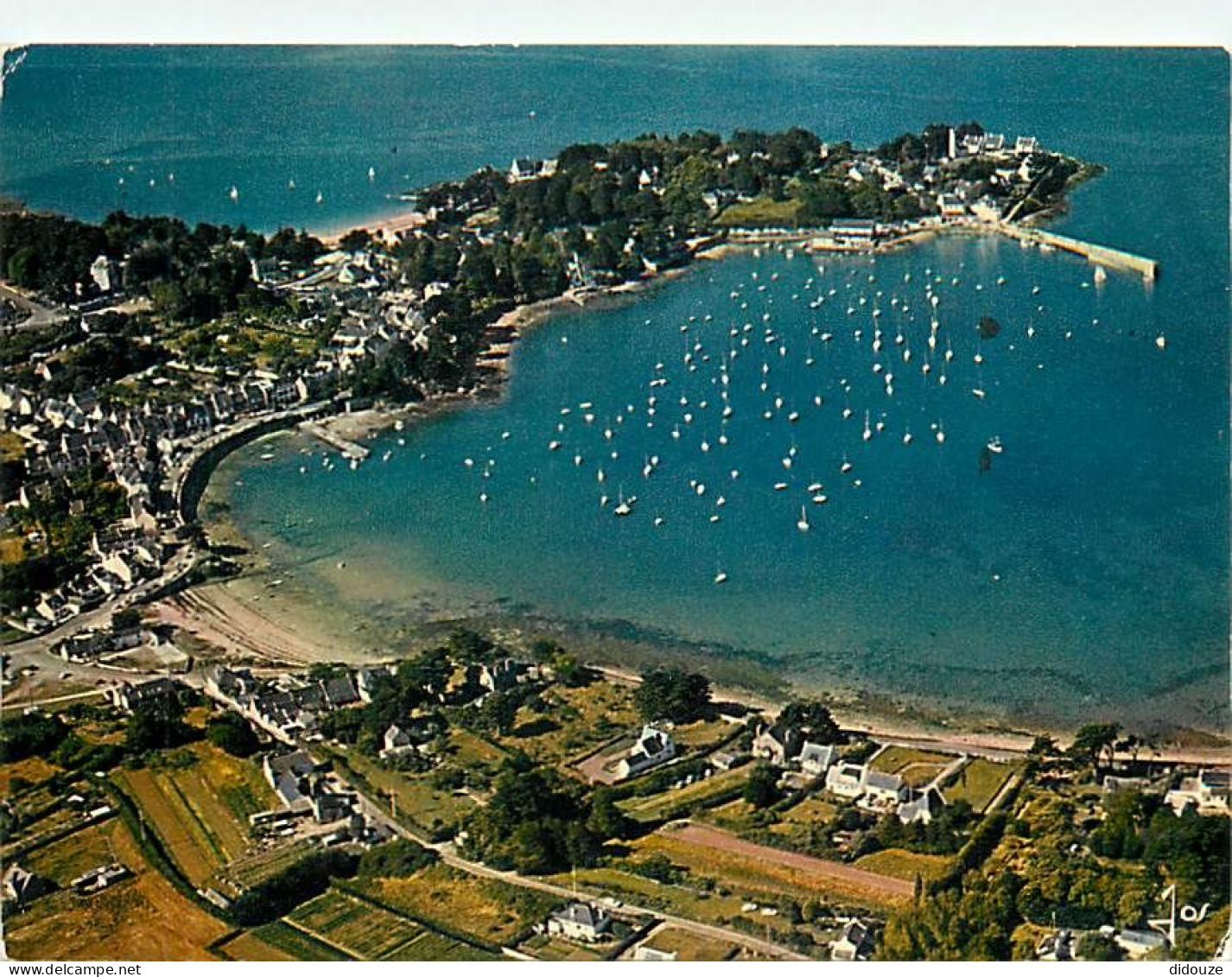 Carte Postale - 56 - Arzon - Port Navalo - CPM - Voir Scans Recto-Verso - Poscard - Carta Postal -  Postkarte