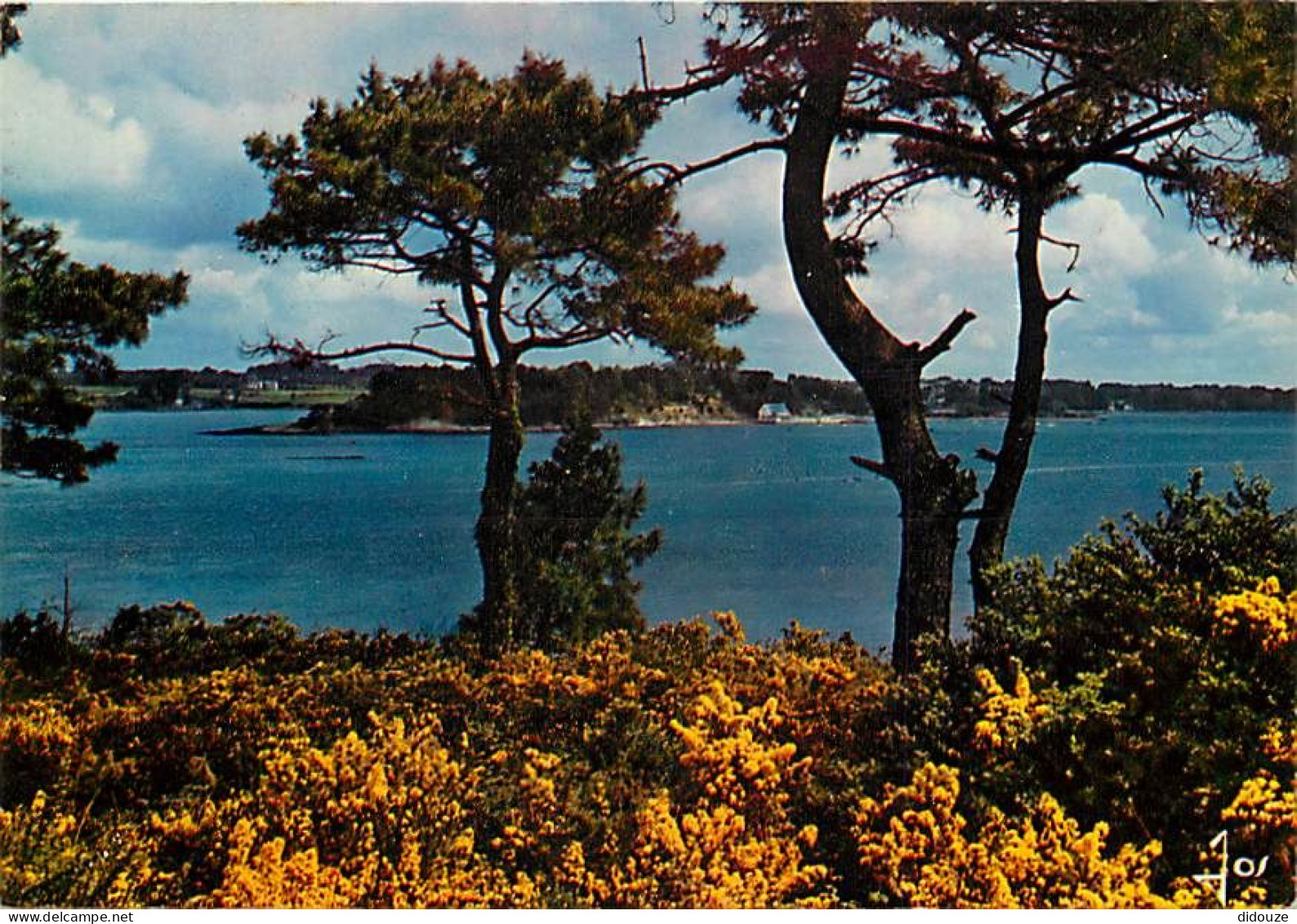 Carte Postale - 56 - Ile aux Moines - CPM - Voir Scans Recto-Verso - Poscard - Carta Postal -  Postkarte