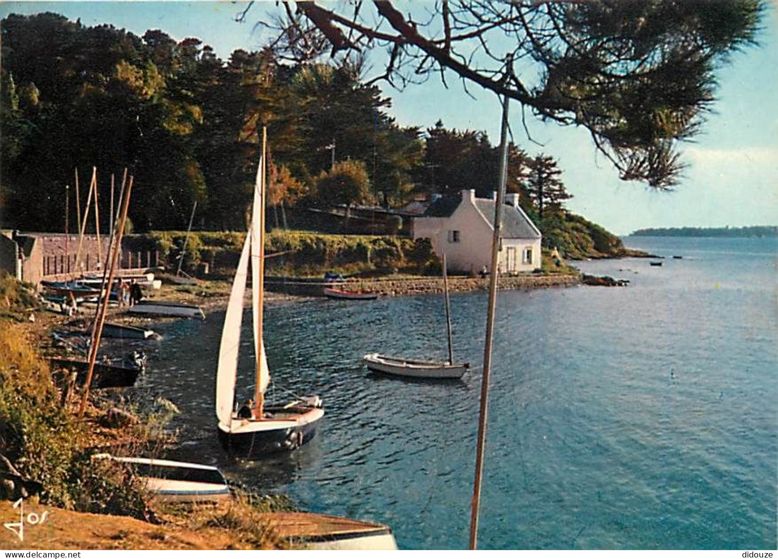 Carte Postale - 56 - Ile aux Moines - CPM - Voir Scans Recto-Verso - Poscard - Carta Postal -  Postkarte