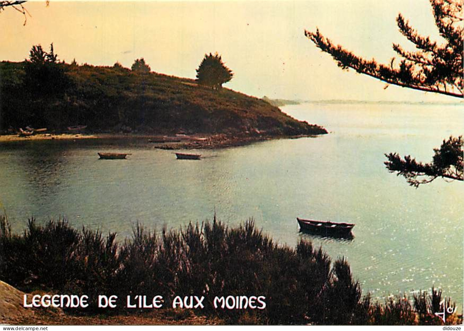Carte Postale - 56 - Ile aux Moines - CPM - Voir Scans Recto-Verso - Poscard - Carta Postal -  Postkarte