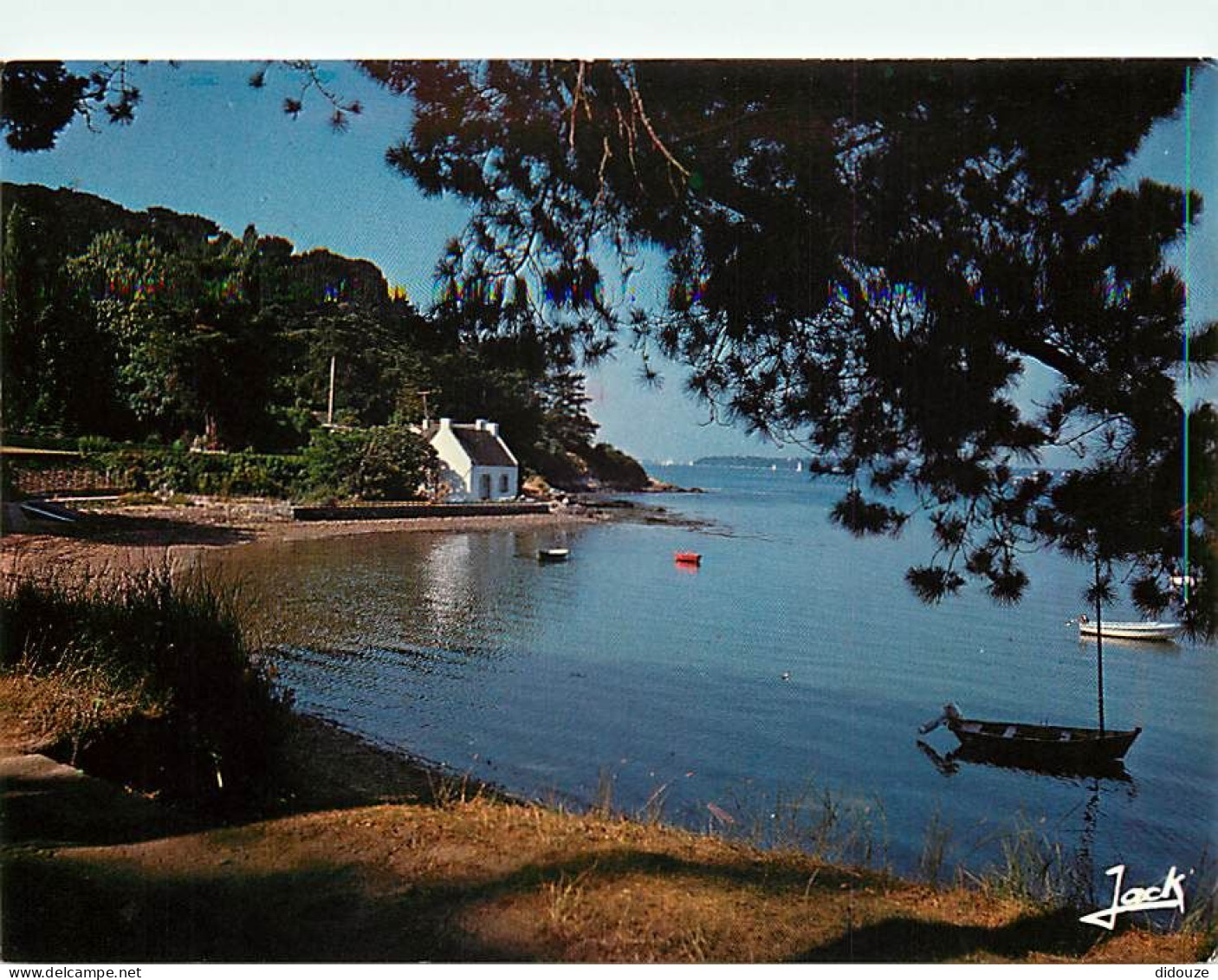 Carte Postale - 56 - Ile aux Moines - CPM - Voir Scans Recto-Verso - Poscard - Carta Postal -  Postkarte