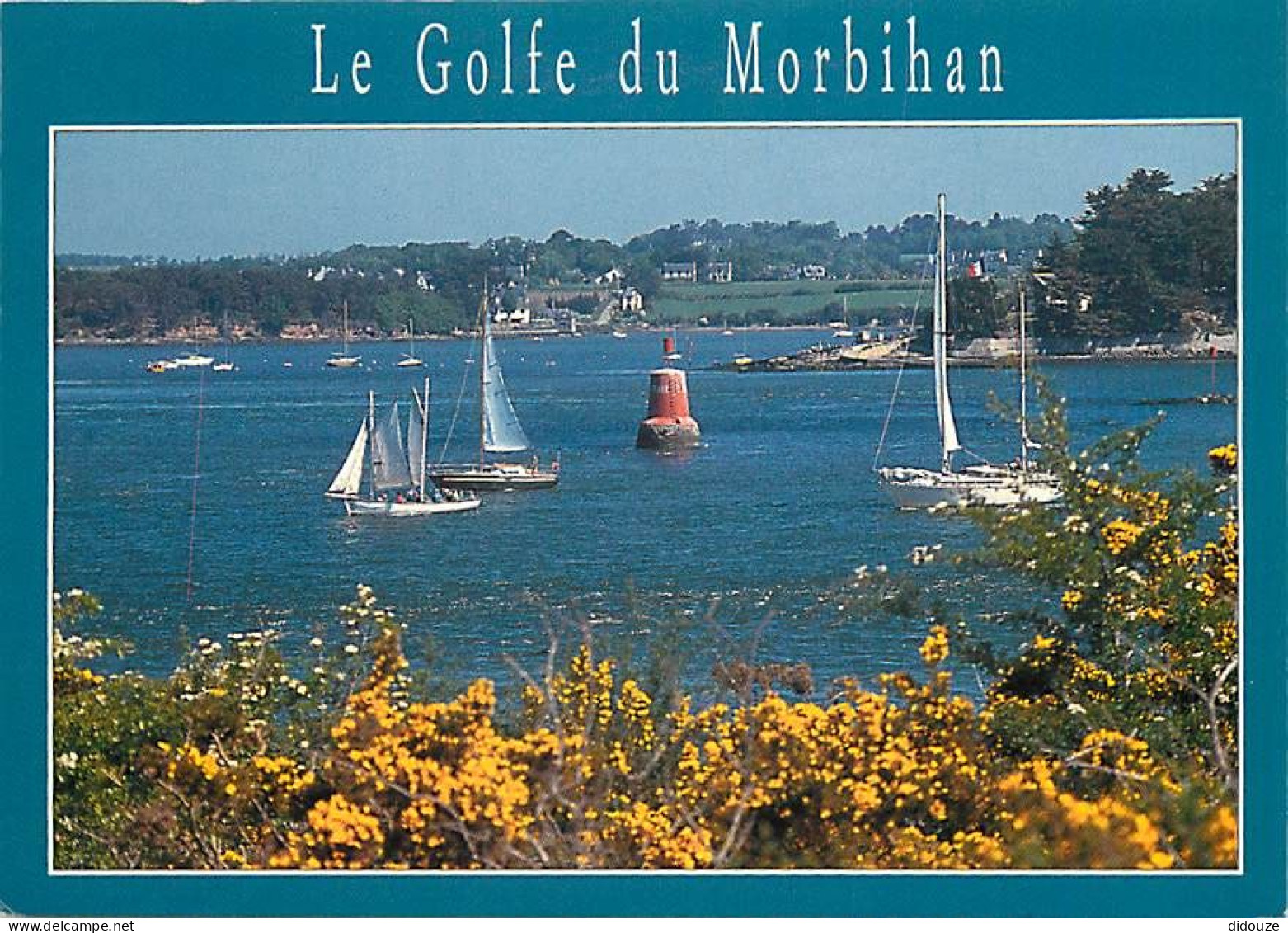 Carte Postale - 56 - Ile aux Moines - CPM - Voir Scans Recto-Verso - Poscard - Carta Postal -  Postkarte