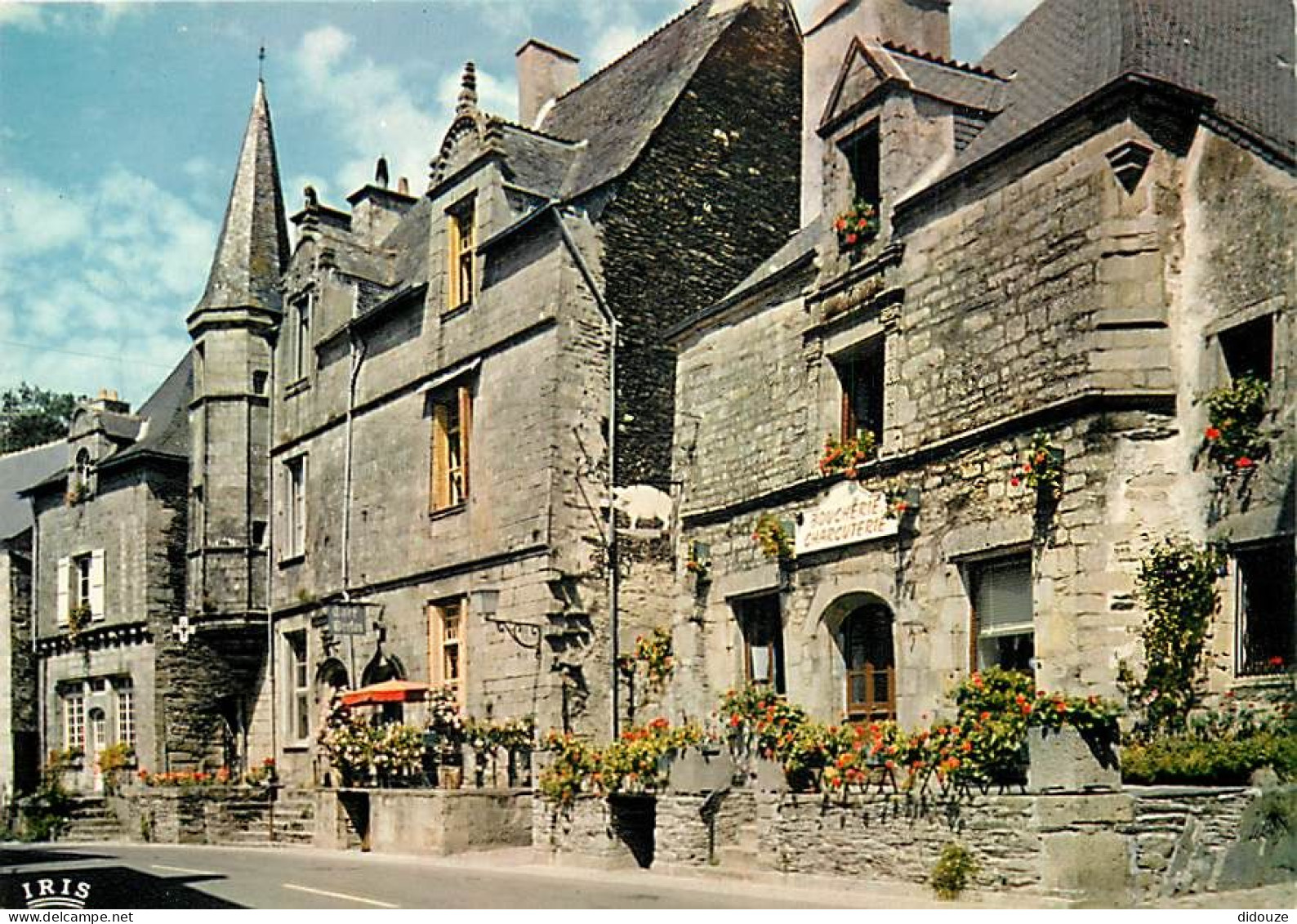 Carte Postale - 56 - Rochefort en Terre - CPM - Voir Scans Recto-Verso - Poscard - Carta Postal -  Postkarte