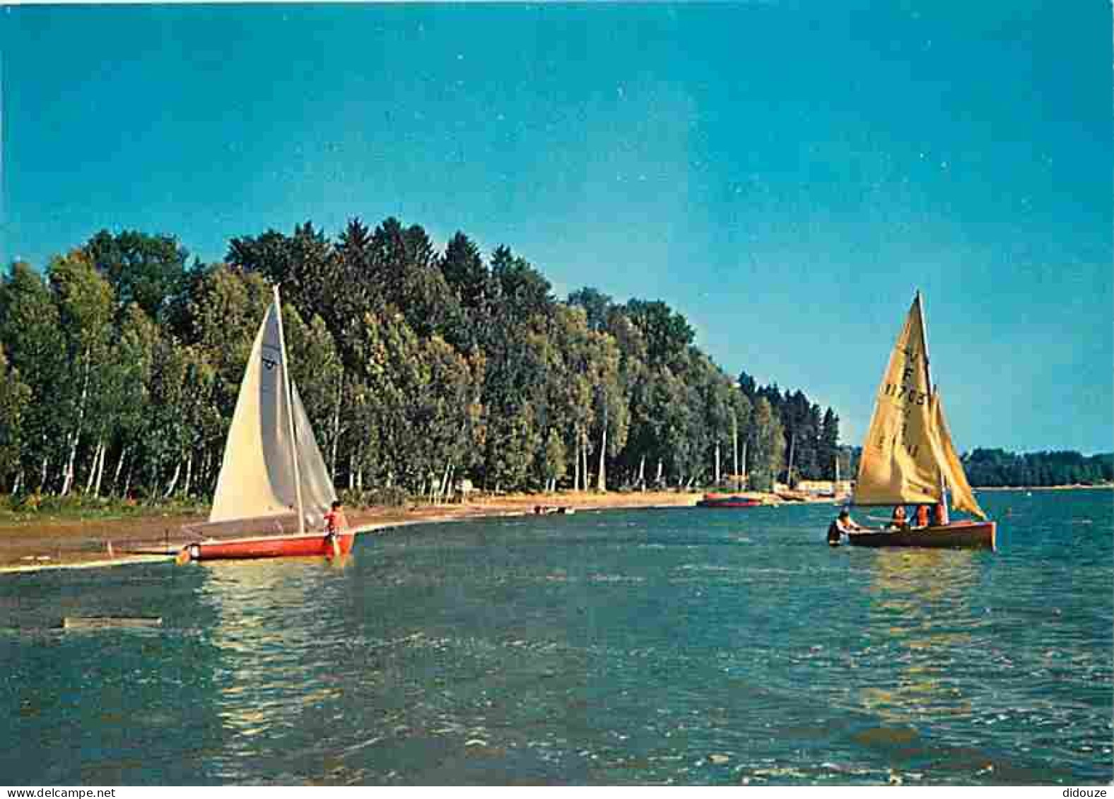 Carte Postale - 58 - Les Settons - Le Lac des Settons - Voile - Flamme Postale de Montsauche les Settons - CPM - Voir Sc