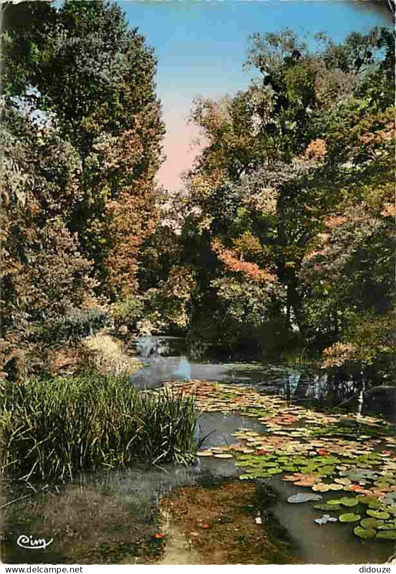 Carte Postale - 58 - Saint Amand en Puisaye - La Vrille - CPM - Voir Scans Recto-Verso - Poscard - Carta Postal -  Postk