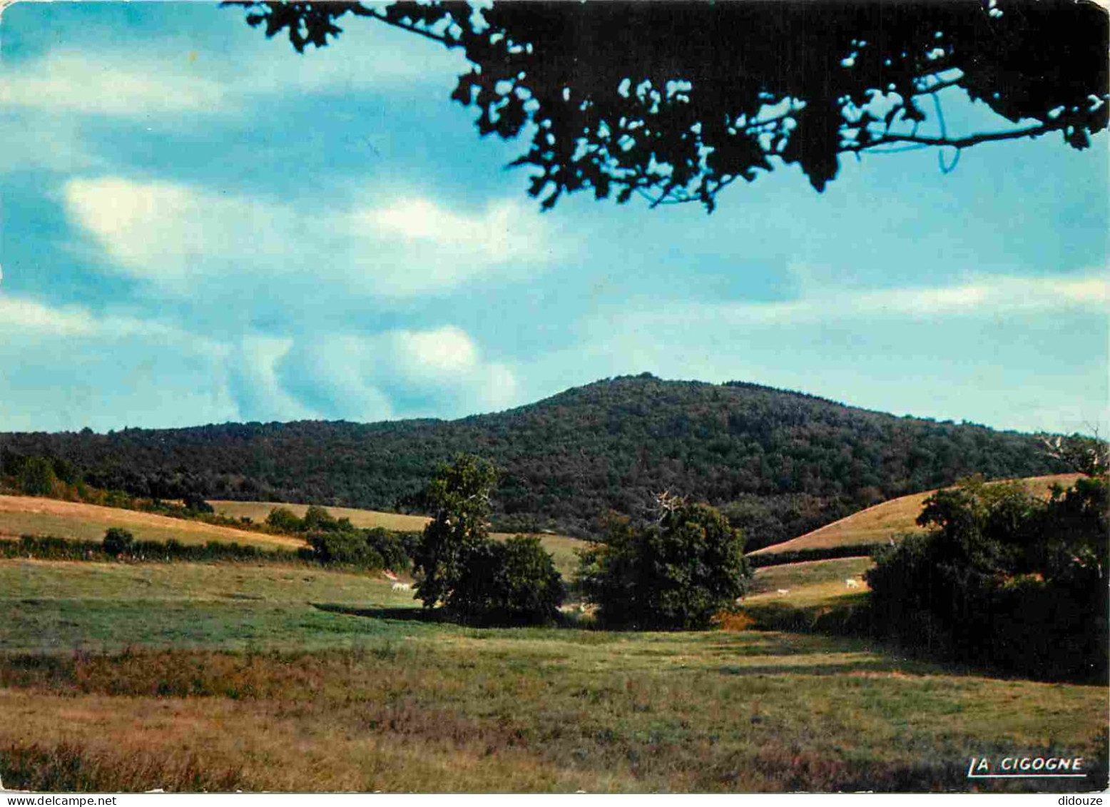 Carte Postale - 58 - Saint Honoré les Bains - La vieille montagne aux environs de Saint Honoré les Bains - CPM - Voir Sc