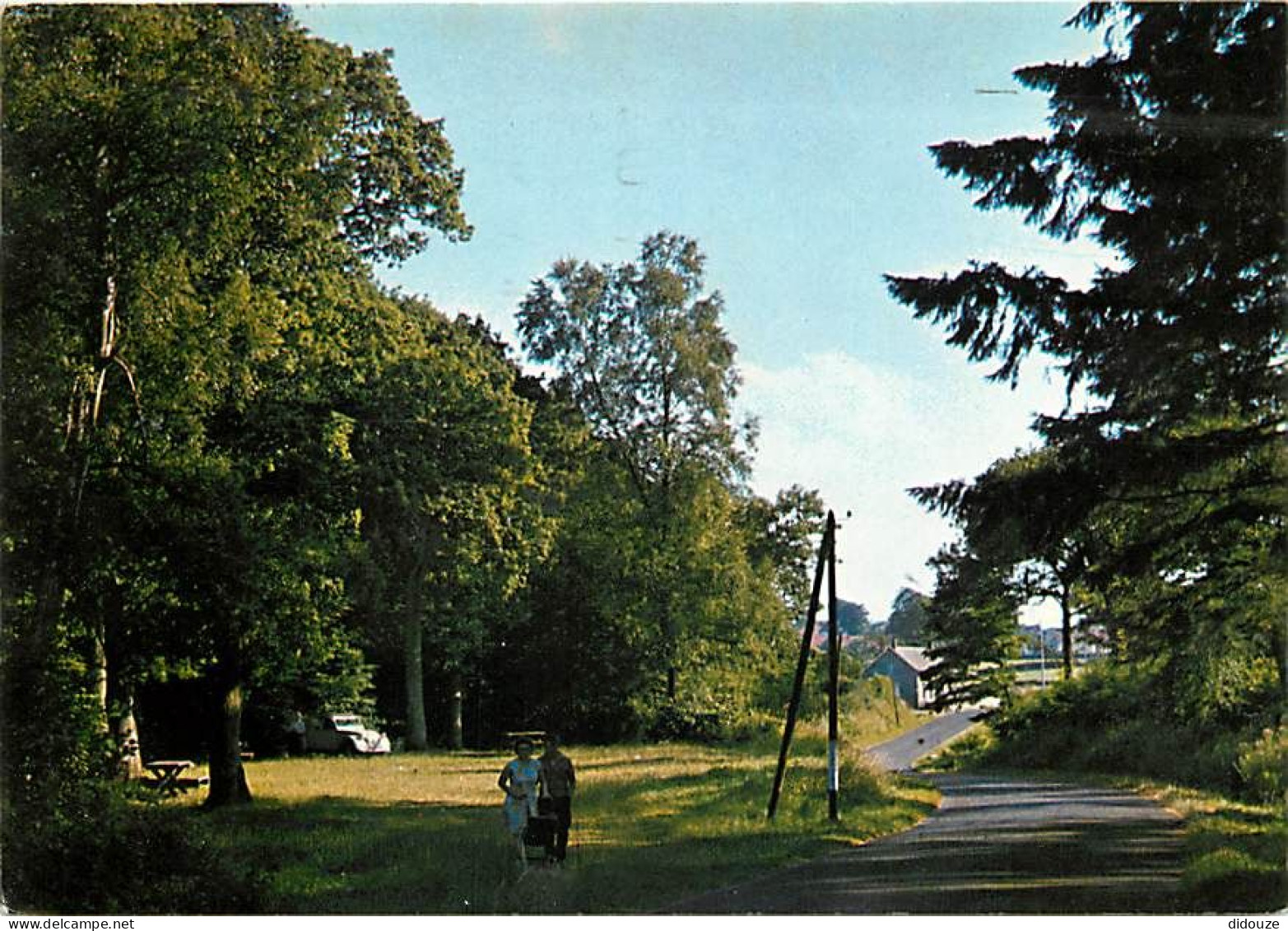 Carte Postale - 62 - Desvres - La Forêt - CPM - Voir Scans Recto-Verso - Poscard - Carta Postal -  Postkarte