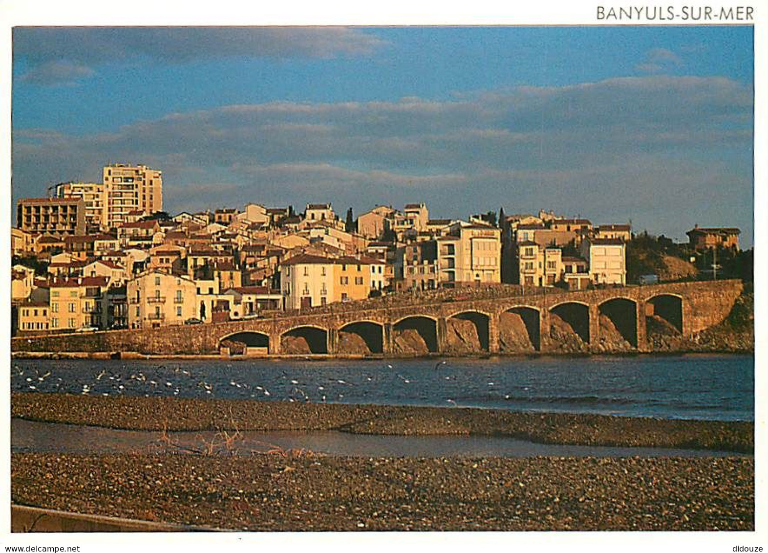 Carte Postale - 66 - Banyuls sur Mer - Le haut Banyuls - CPM - Voir Scans Recto-Verso - Poscard - Carta Postal -  Postka