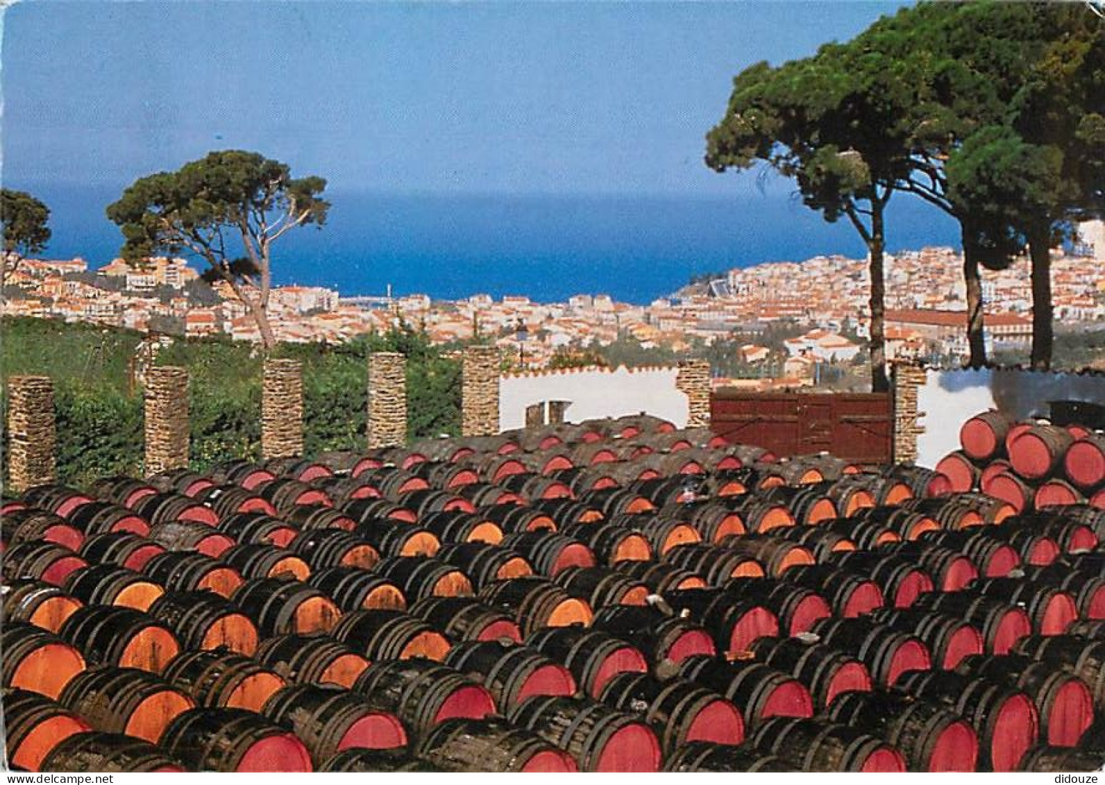 Carte Postale - 66 - Banyuls sur Mer - Parc de vieillissement à l'air libre des Banyuls et Banyuls grand cru du Cellier