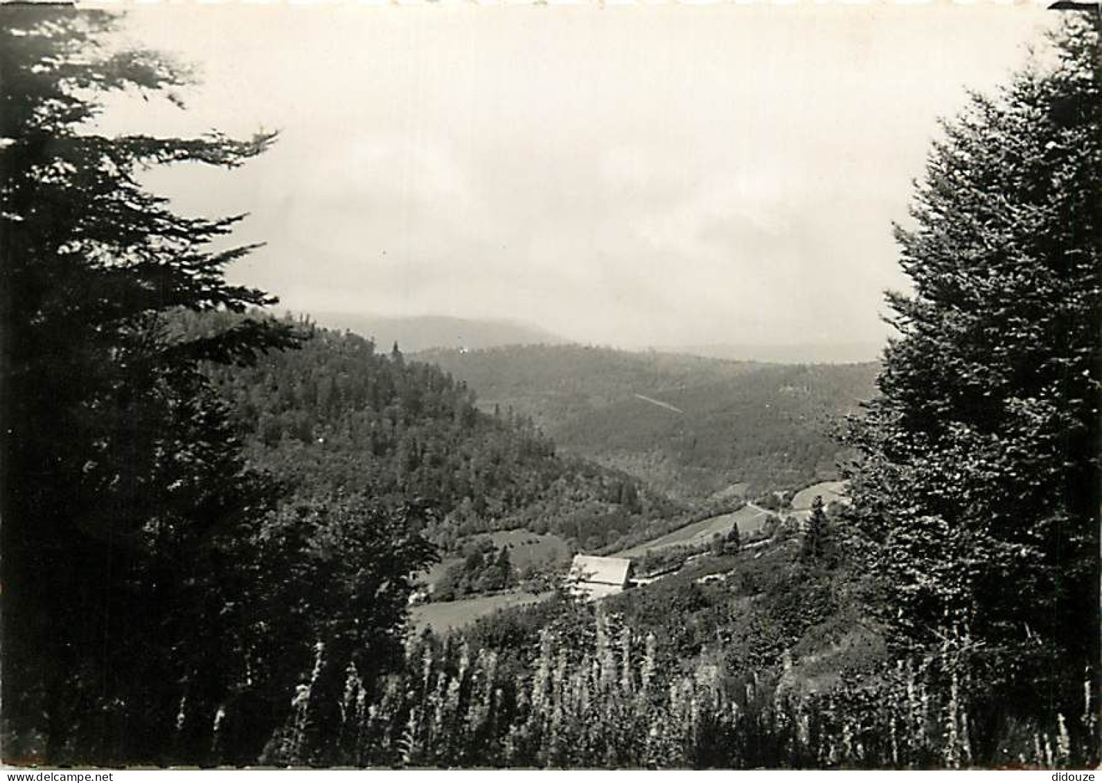 Carte Postale - 68 - Sainte Marie aux Mines - Col de Sainte Marie aux Mines - Vue sur la Vallée - CPSM grand format - Vo