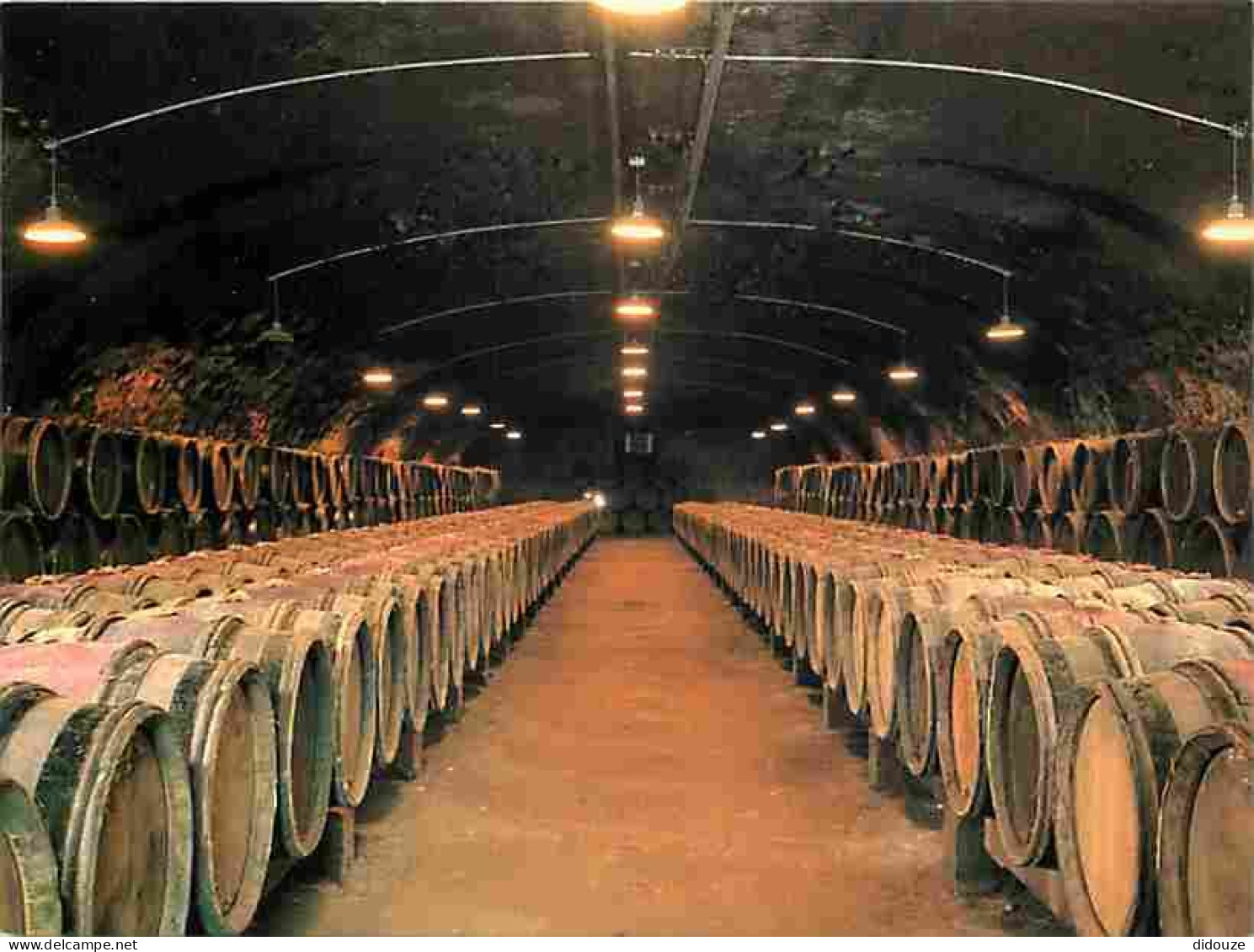 Carte Postale - 69 - Chenas - Cave du Château de Chenas - La grande cave voutée - Carte Neuve - CPM - Voir Scans Recto-V