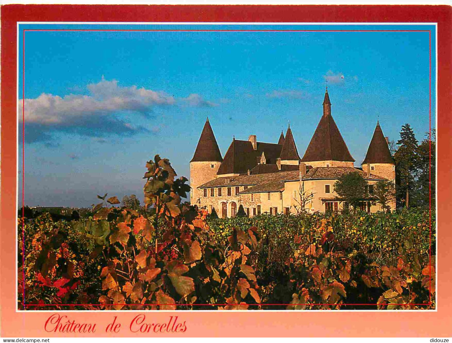Carte Postale - 69 - Corcelles - Château de Corcelles - Vignes - CPM - Voir Scans Recto-Verso - Poscard - Carta Postal -