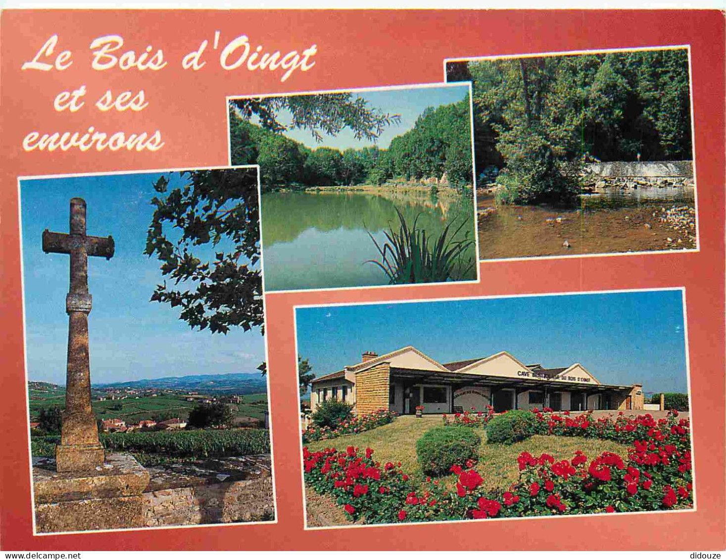 Carte Postale - 69 - Le Bois d'Oingt - Et ses environs - Multivues - CPM - Voir Scans Recto-Verso - Poscard - Carta Post