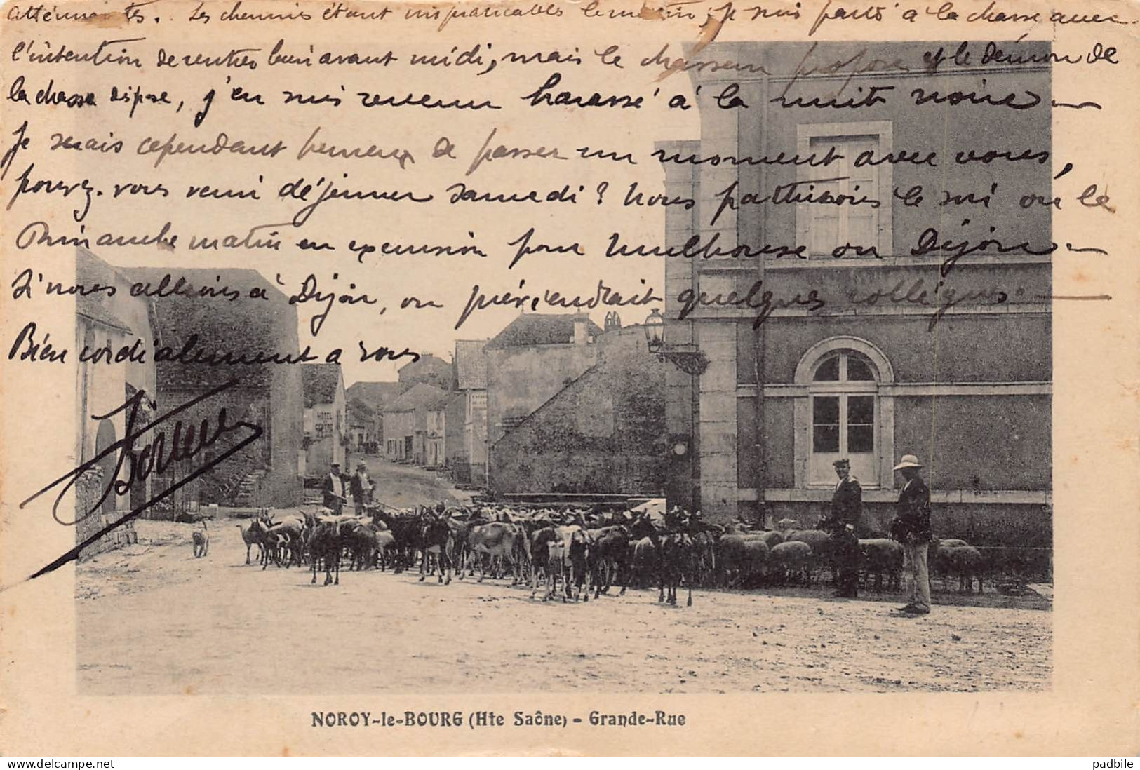 carte postale [70]  Noroy-le-Bourg  éleveur de chèvres    très beau plan