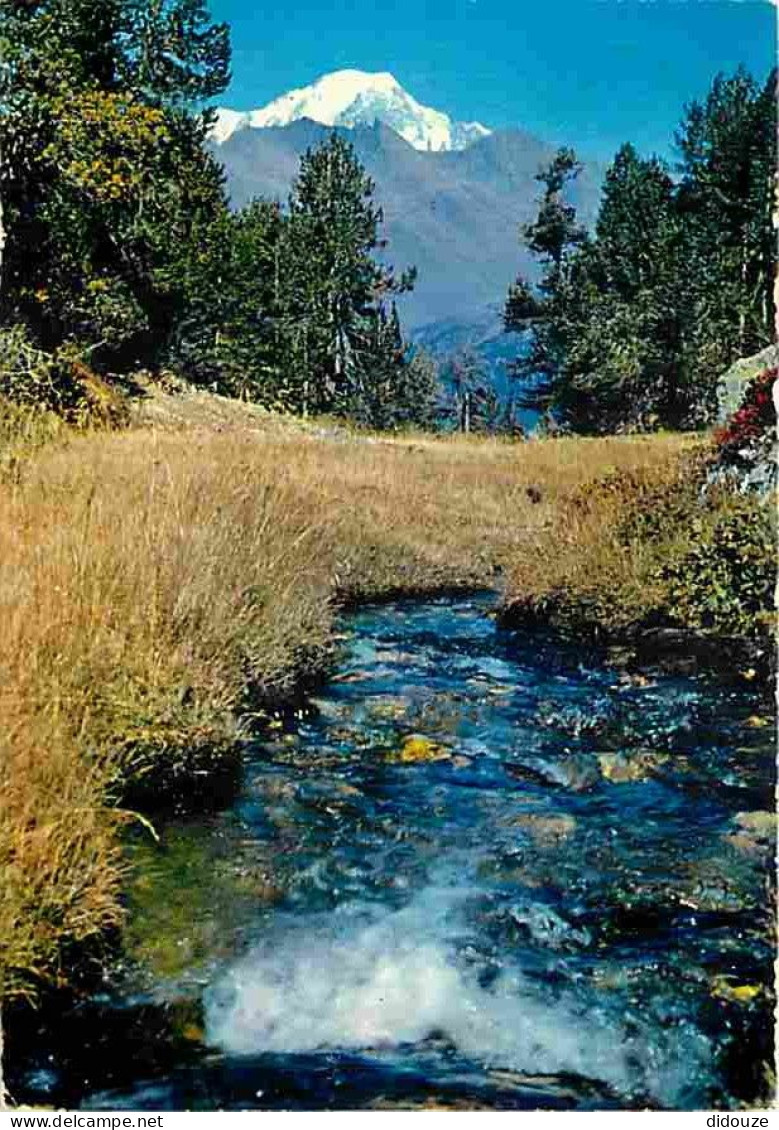 Carte Postale - 73 - Bourg St maurice - Les Arcs - Torrent à l'eau claire et limpide descendant de la Vallée de l'Arc -