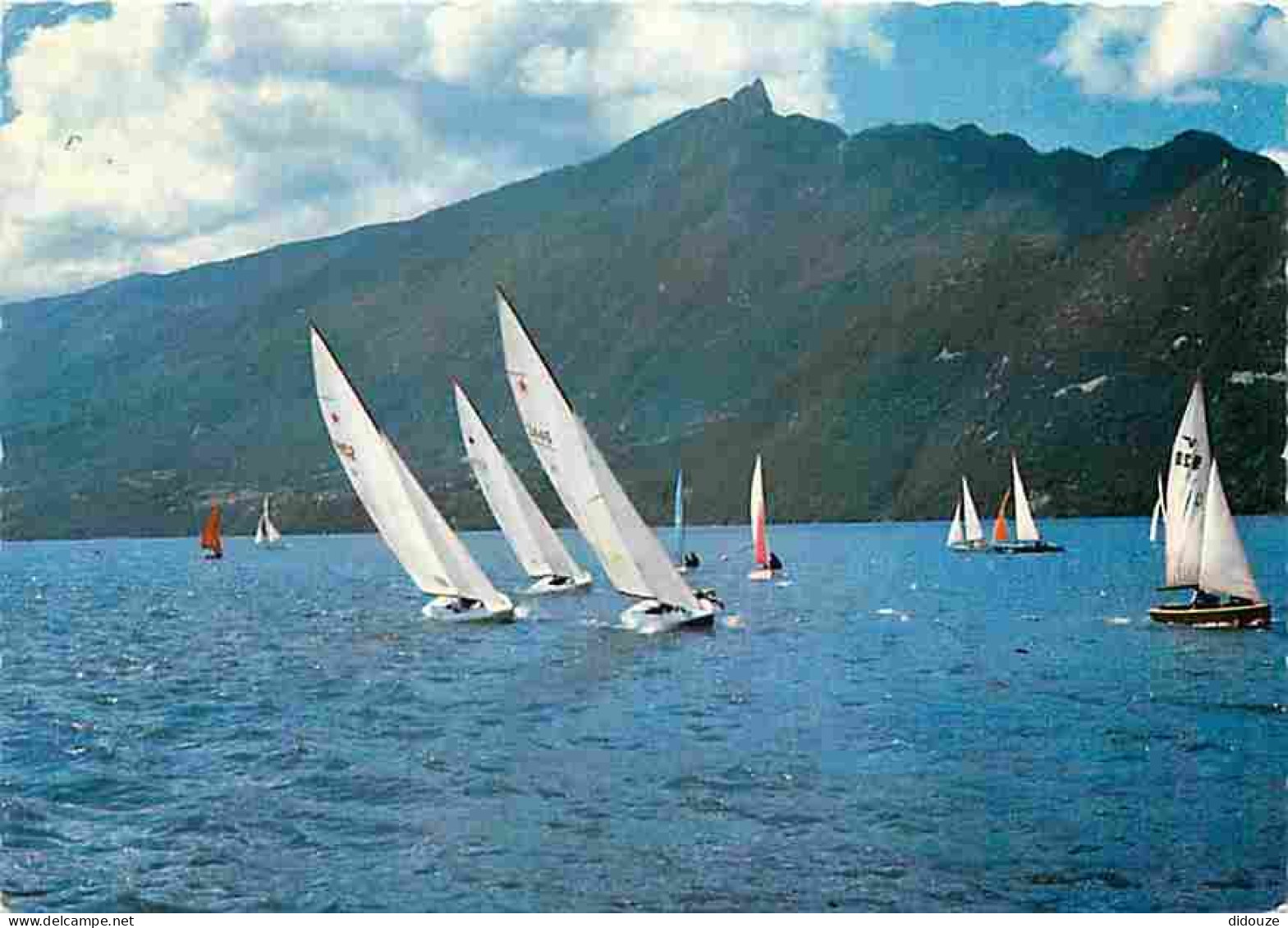 Carte Postale - 73 - Lac du Bourget - Régates à voiles sur le Lac du Bourget et la Dent du Chat - CPM - Voir Scans Recto
