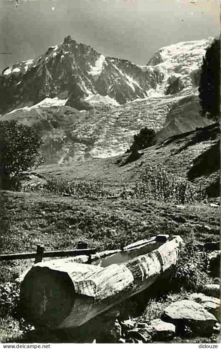 Carte Postale - 74 - Chamonix - Mont-Blanc - L'eau claire des Hautes Altitudes - L'Aiguille du Midi - Massif du Mont-Bla