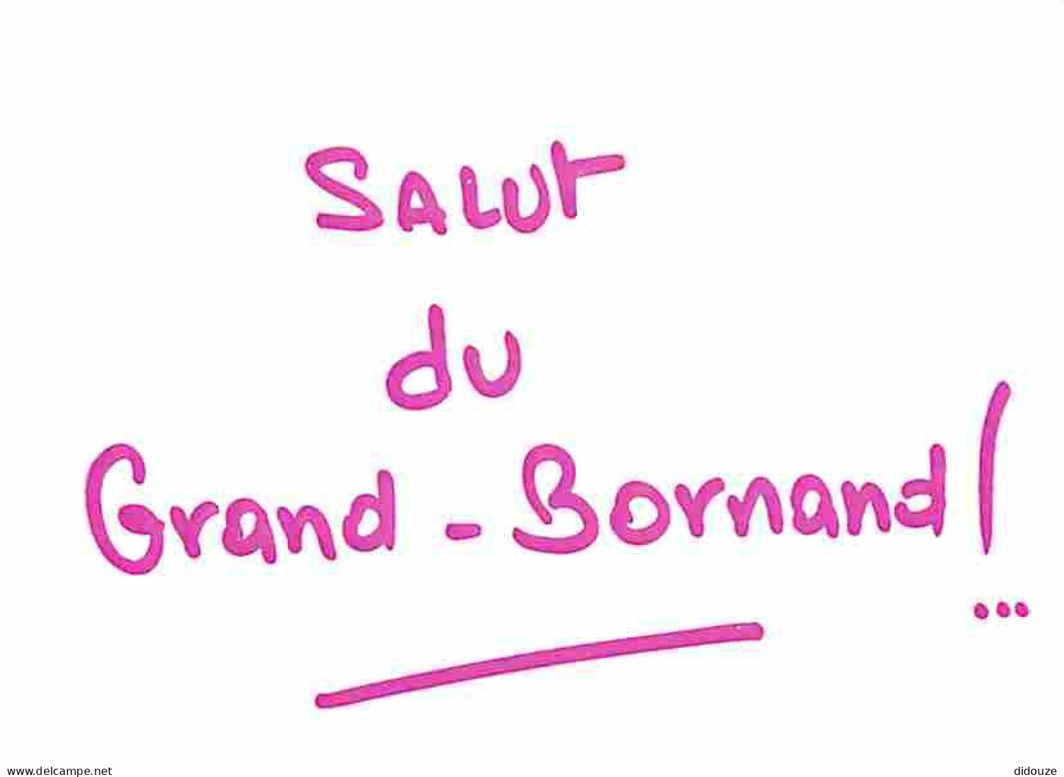 Carte Postale - 74 - Le Grand Bornand - Carte Message Coucou du Grand Bornand - CPM - Voir Scans Recto-Verso - Poscard -