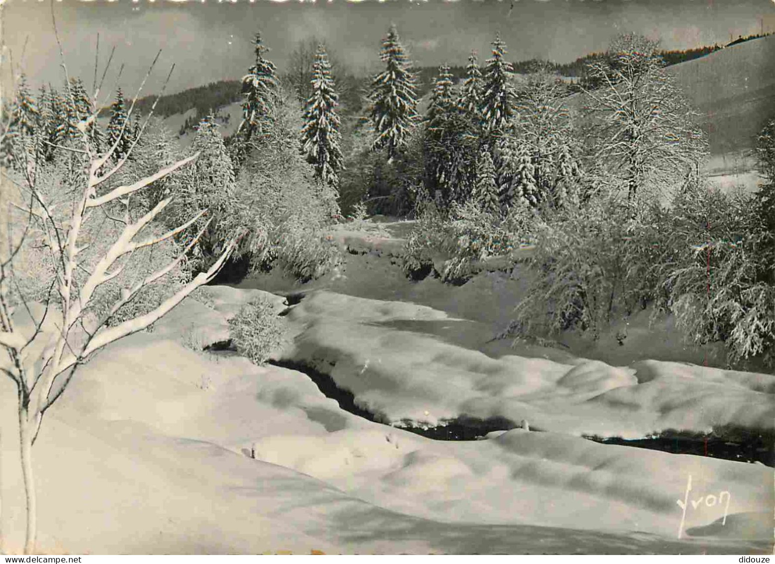 Carte Postale - 74 - Morzine - Sapin sous la neige aux environs de Morzine - Hiver Neige - Carte dentelée - CPSM grand f