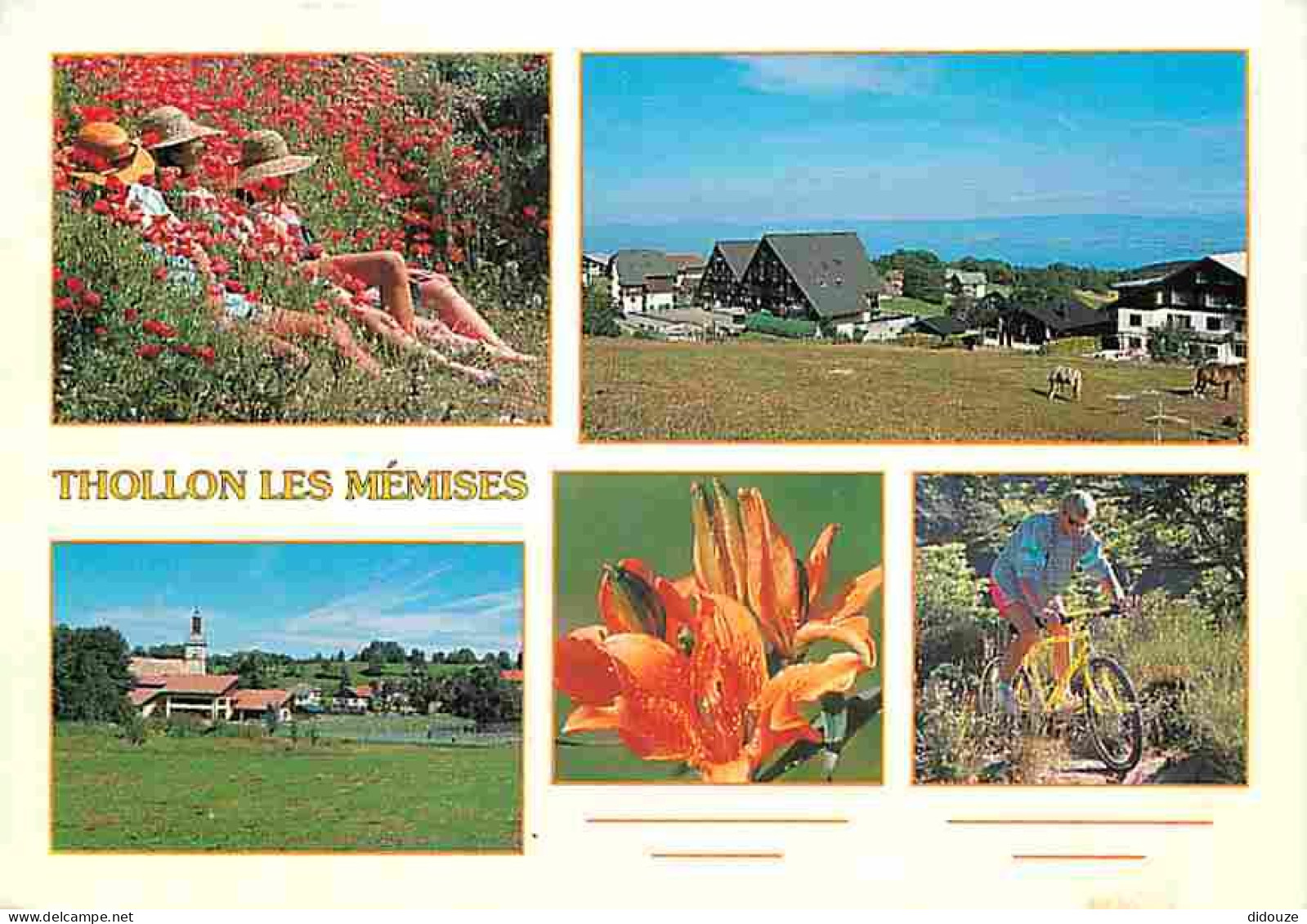 Carte Postale - 74 - Thollon les Mémises - Multivues - Chevaux - Cycliste - CPM - Voir Scans Recto-Verso - Poscard - Car