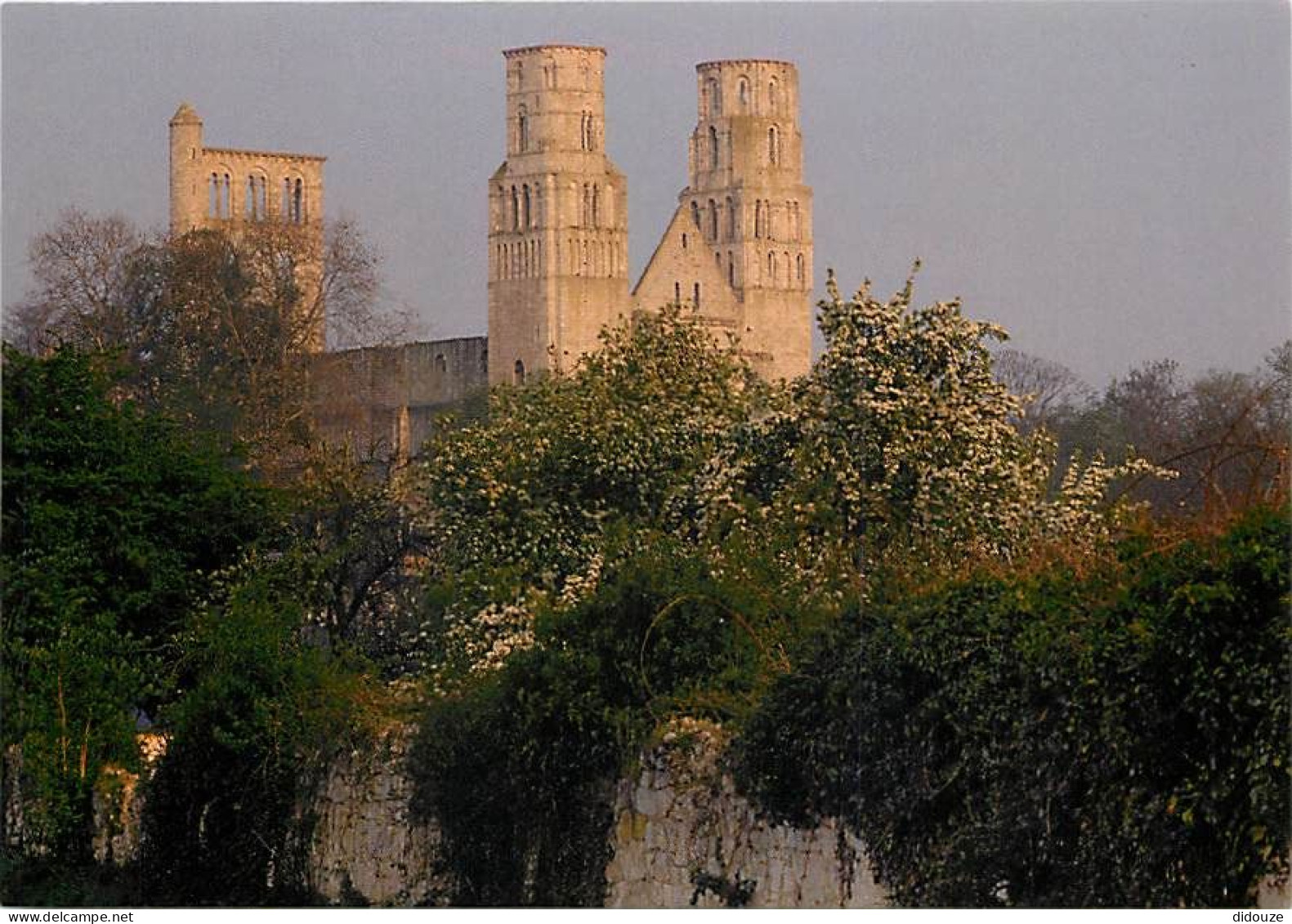 Carte Postale - 76 - Jumièges - Abbaye de Jumièges - Eglise Notre-Dame - Carte Neuve - CPM - Voir Scans Recto-Verso - Po