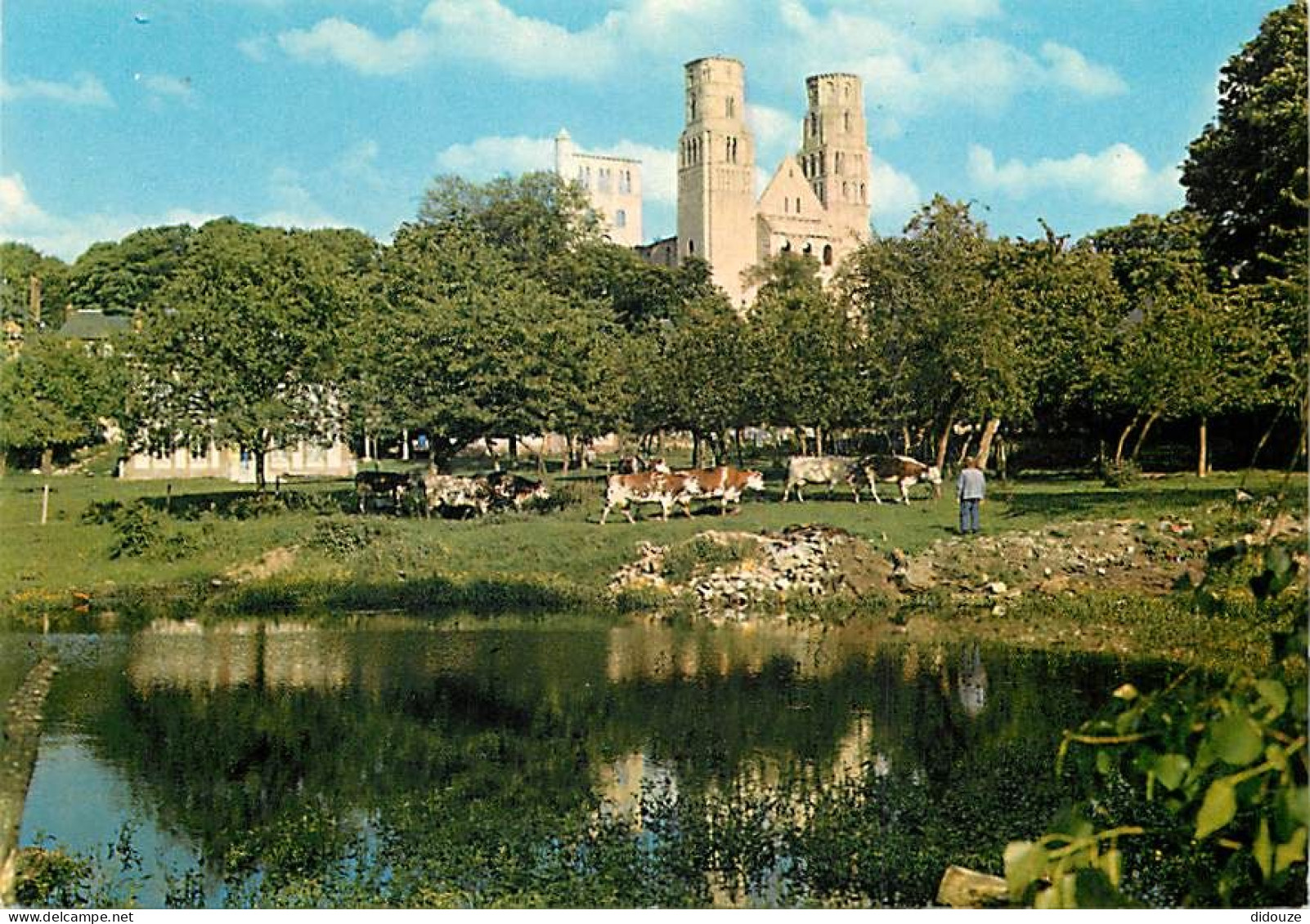 Carte Postale - 76 - Jumièges - Abbaye de Jumièges - Vaches - Paysans - Carte Neuve - CPM - Voir Scans Recto-Verso - Pos