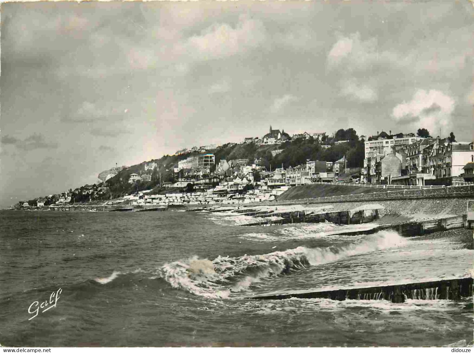 Carte Postale - 76 - Sainte Adresse - Vue sur la Côte et Sainte Adresse - Mention Photographie Véritable - Carte dentelé