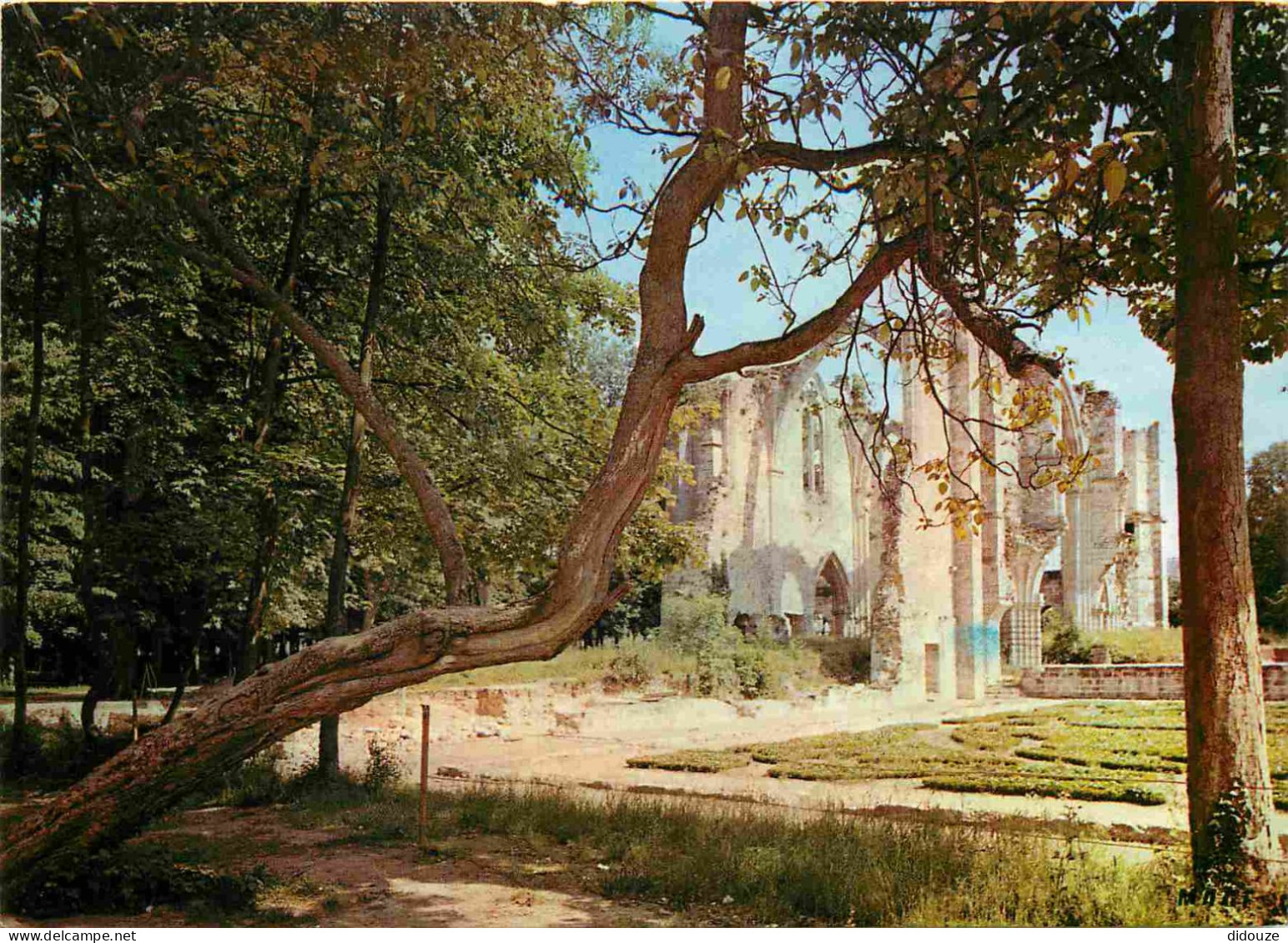 Carte Postale - 77 - Dammarie les Lys - Ruines romantiques de l'abbaye royale du Lys où séjournèrent Blanche de Castille