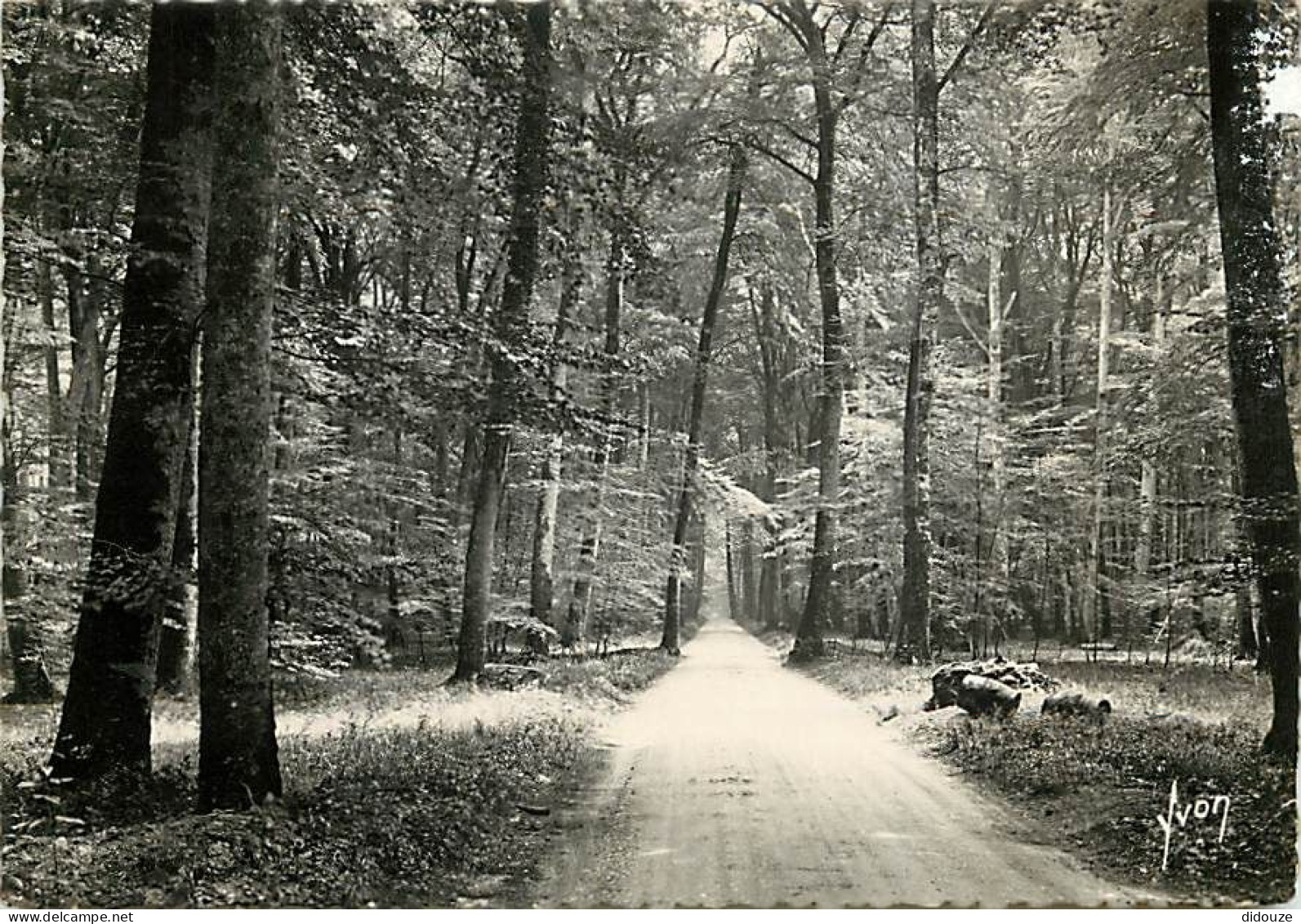 Carte Postale - 77 - Fontainebleau - Forêt de Fontainebleau - Ronde de Fontainebleau à Barbizon - CPSM grand format - CP