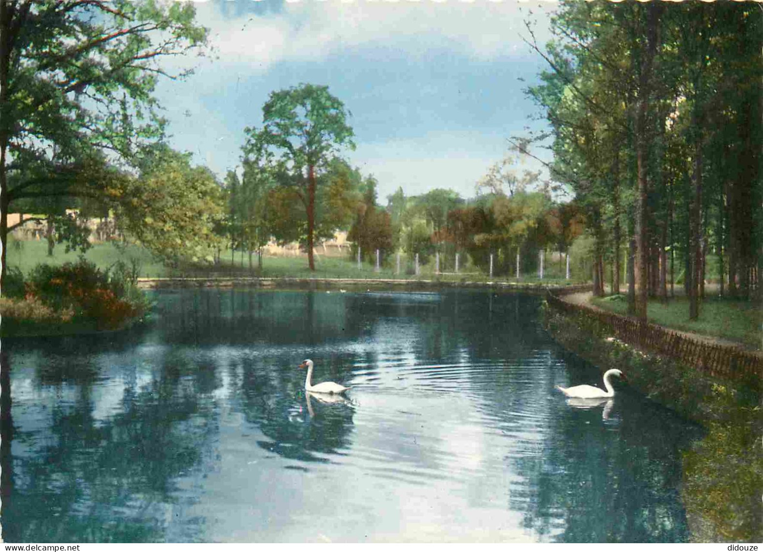 Carte Postale - 78 - Verneuil sur Seine - Le Parc - Cygnes - Carte dentelée - CPSM grand format - Voir Scans Recto-Verso