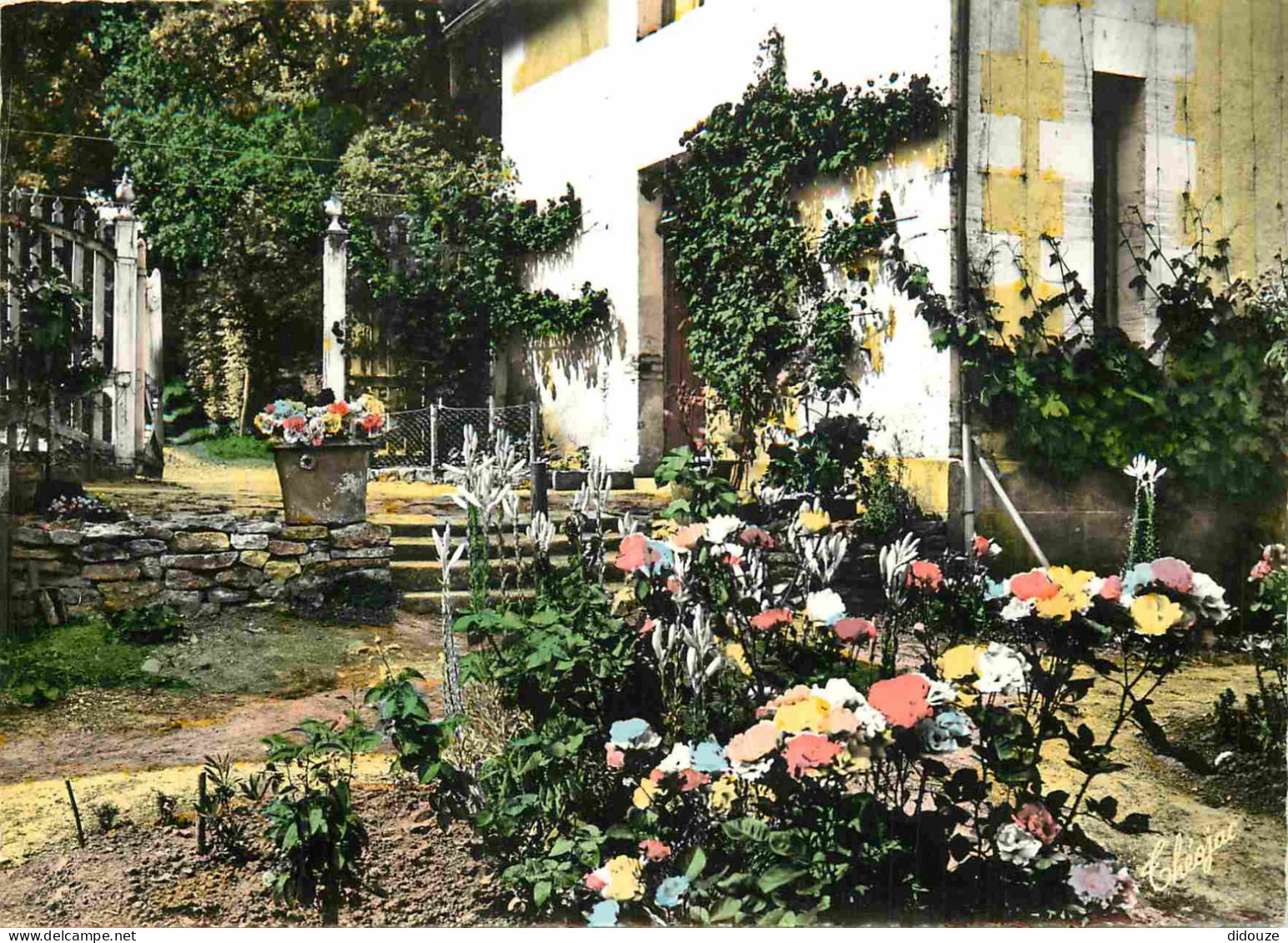 Carte Postale - 79 - Champdeniers Saint Denis - Maison fleurie - Carte dentelée - CPM - Voir Scans Recto-Verso - Poscard