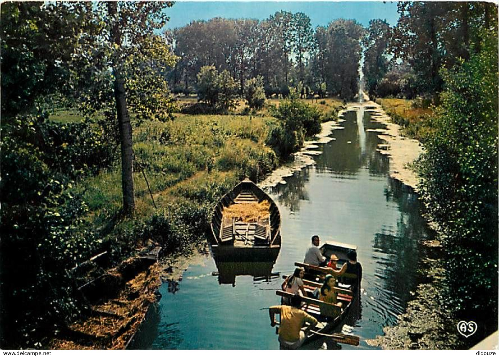 Carte Postale - 79 - Le Marais Poitevin - Venise Verte - Contre-jour - Promenade dans la Venise Verte - Carte Neuve - CP