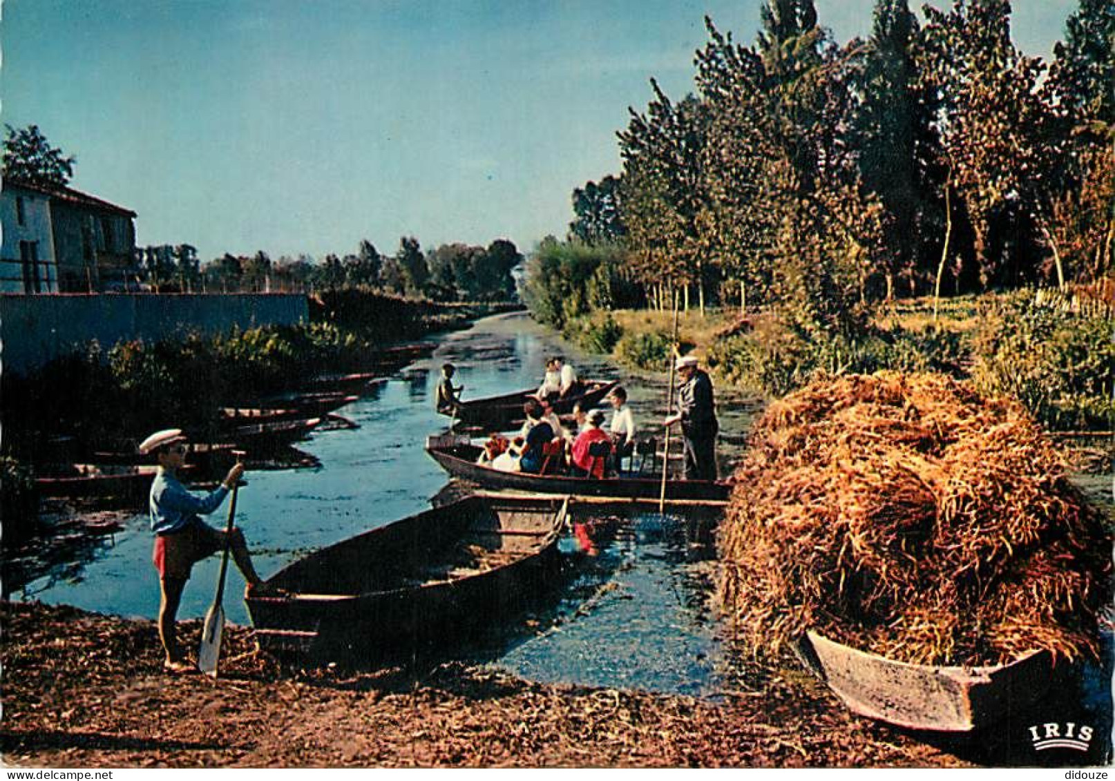Carte Postale - 79 - Le Marais Poitevin - Venise Verte - Paysage pittoresque de la Venise Verte - Carte Neuve - CPM - Vo