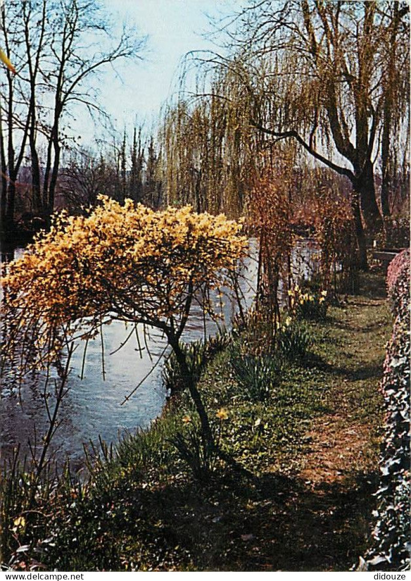 Carte Postale - 80 - Bray sur Somme - CPM - Voir Scans Recto-Verso - Poscard - Carta Postal -  Postkarte