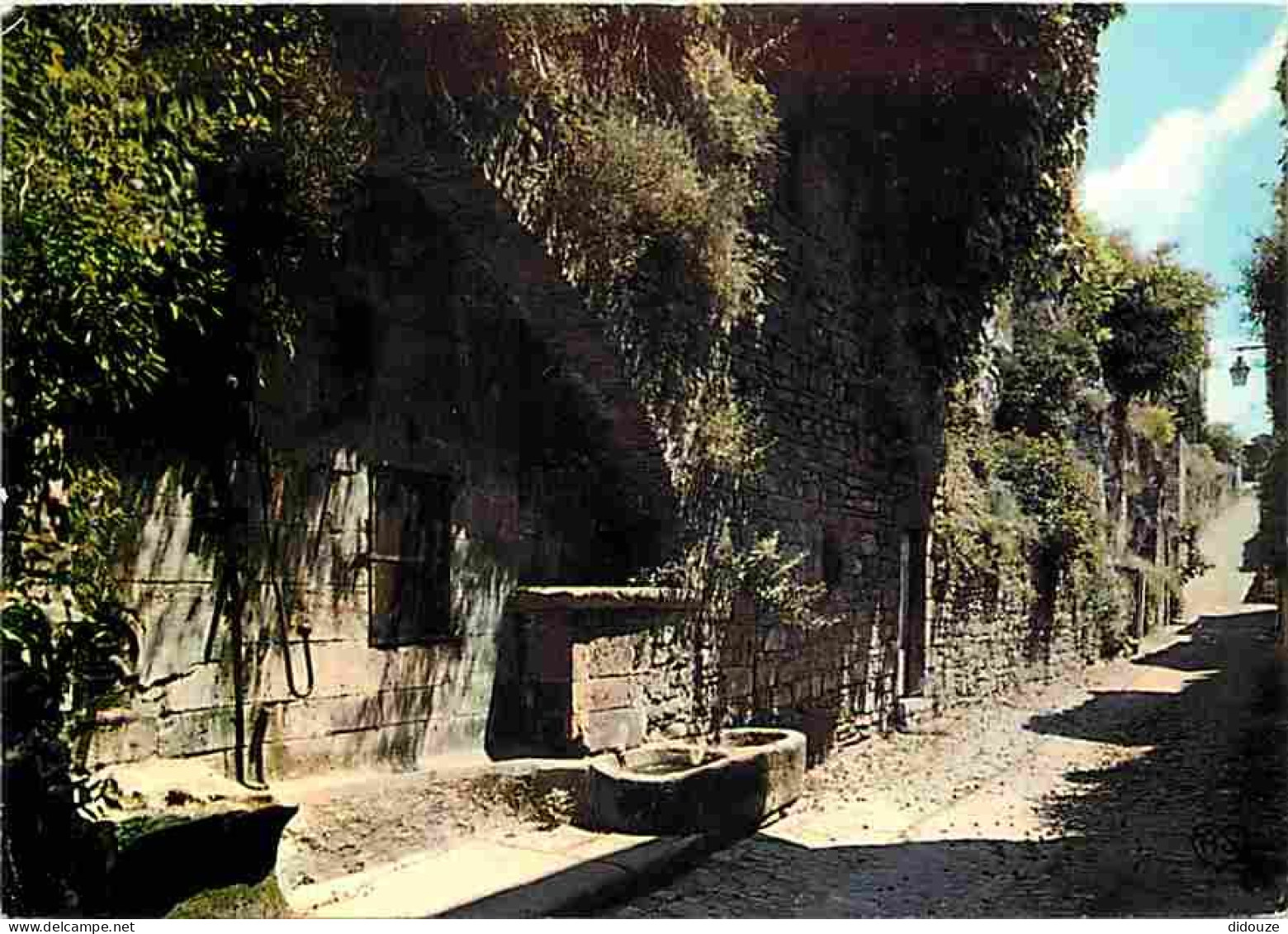 Carte Postale - 81 - Cordes - Une vieille rue typique de Cordes - CPM - Voir Scans Recto-Verso - Poscard - Carta Postal