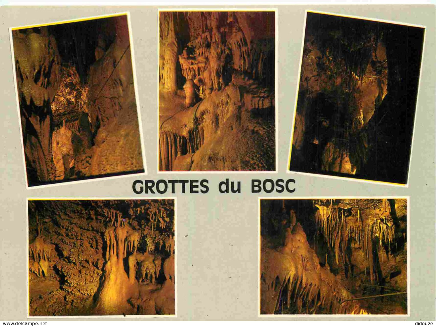 Carte Postale - 82 - Saint Antonin Noble Val - Grottes du Bosc - Multivues - Spéléologie - CPM - Voir Scans Recto-Verso